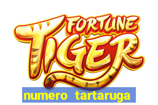 numero tartaruga jogo do bicho